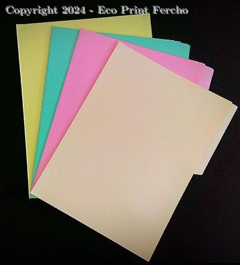 Carpeta Opalina Variedad de colores