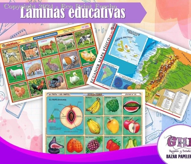 Mapa de Zacoalco, Lamina Escolar o Tabla periodica