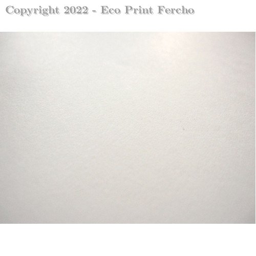 Cartulina Blanco 50 x 65 cm