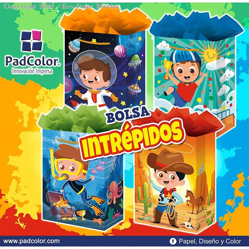 Bolsa De Regalo Chica 15x22x8cm Varios Diseños