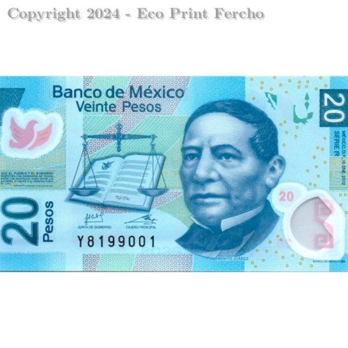 20 Copia o Imp. - Papeleria