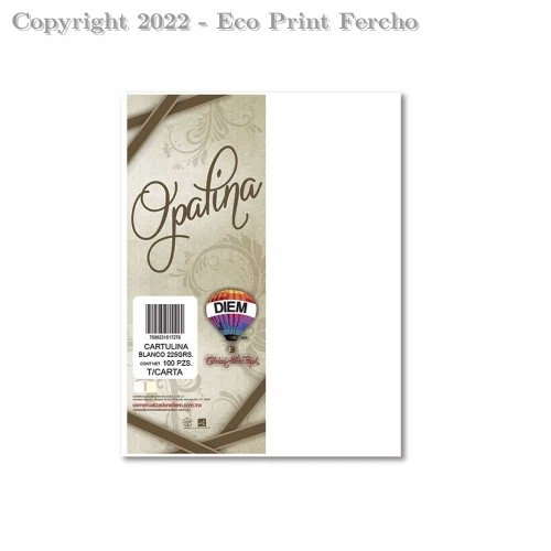 Opalina Tamaño Carta Gruesa Blanco con 100 Hojas